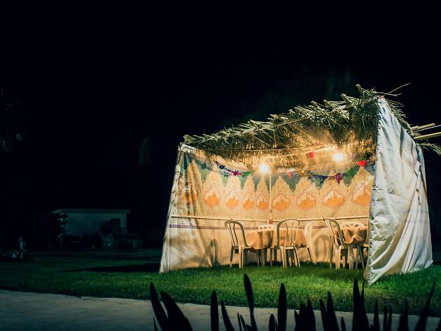 Todo Lo Que Siempre Quisiste Saber Sobre Sucot La Fiesta De Las Cabañas