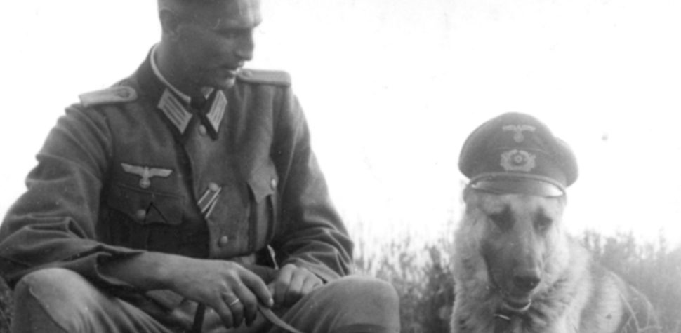 Los nazis, sus perros y los judíos